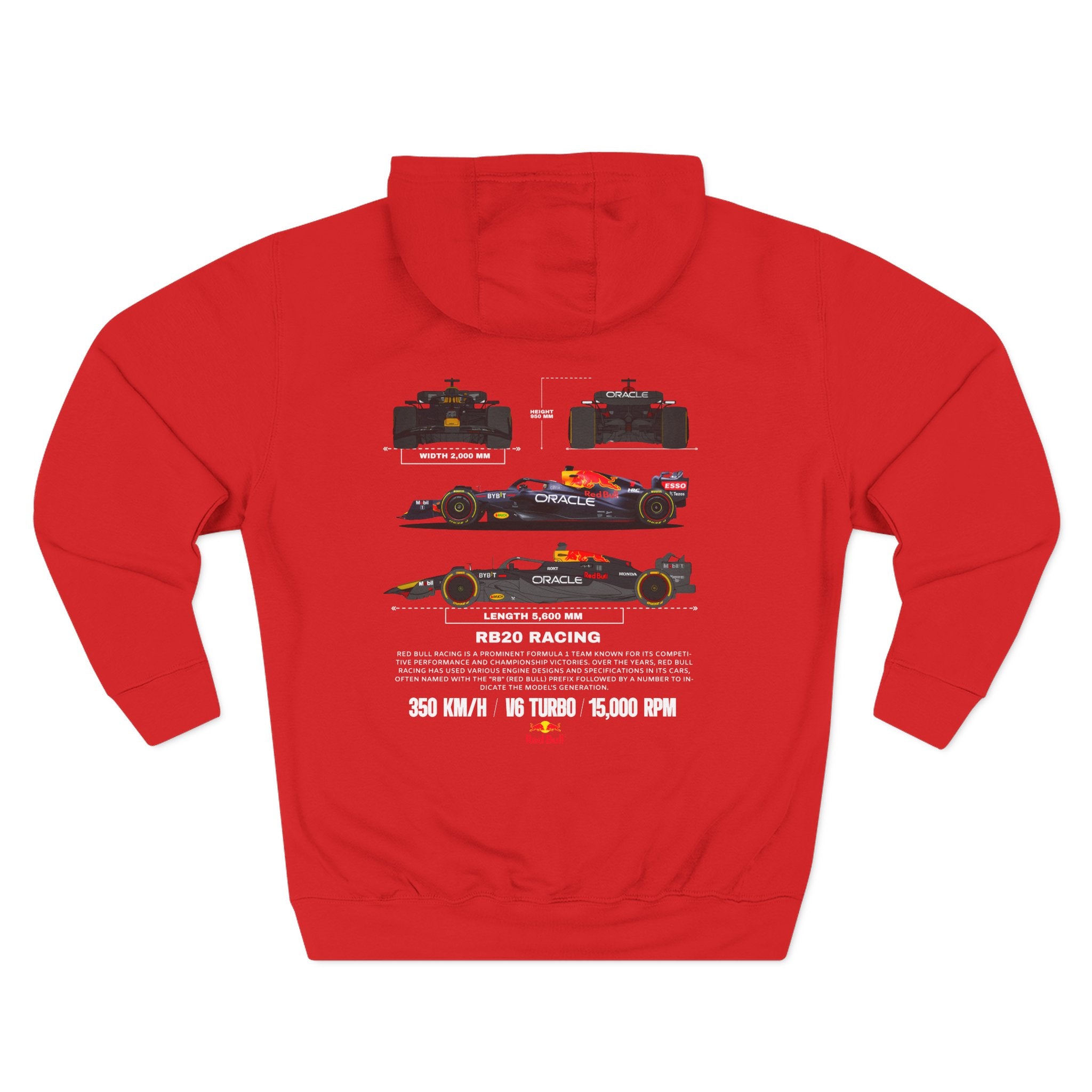 Formula Racing Three-Panel Hoodie — Team Car Lineup Graphic